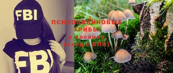 каннабис Богданович