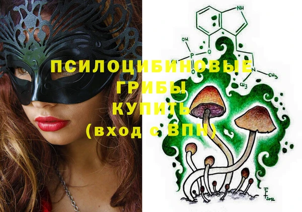 винт Богородицк