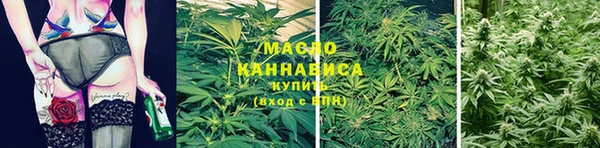 мдпв Бородино